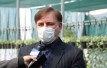 گیلان در وضعیت قرمز کرونایی‌ست