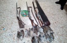 دستگیری متخلفین شکار  16 قطعه کبک  به همراه 3 قبضه سلاح در سیاهکل