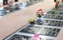 تجدید میثاق دانشگاهیان علوم پزشکی گیلان با شهدای گرانقدر