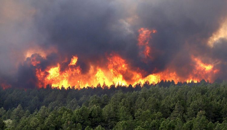 هشدار آتش‌سوزی در جنگل‌های مازندران با افزایش دما