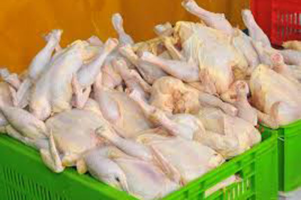 ذخیره سازی مرغ برای شب عید گیلانی‌ها