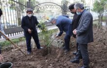 برگزاری آئین درختکاری در مخابرات منطقه گیلان