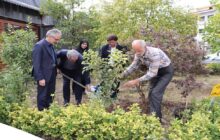 همزمان با هفته منابع طبیعی؛ آیین روز درختکاری در مخابرات منطقه گیلان برگزار شد