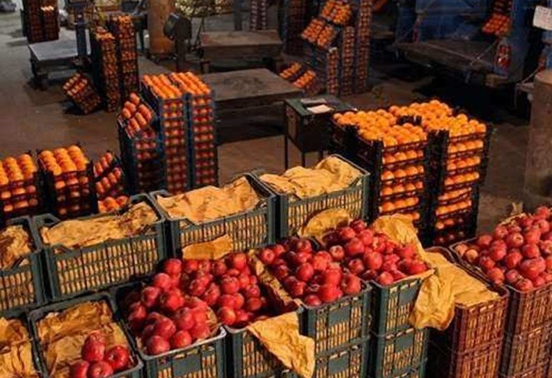 توزیع ۲۰۰ تن میوه شب عید در ۳۶ جایگاه گیلان