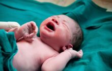 تولد ۶ نوزاد در هر شبانه روز در گیلان | کاهش ۳/۴ درصدی ولادت