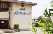 فصل زراعی در کم آورد ترین سال سد سفیدرود طی 63 سال اخیر، با برنامه‌ریزی دقیق مدیریت شد