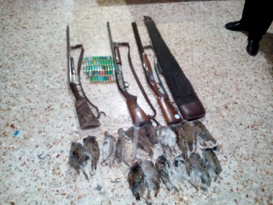 دستگیری متخلفین شکار  16 قطعه کبک  به همراه 3 قبضه سلاح در سیاهکل