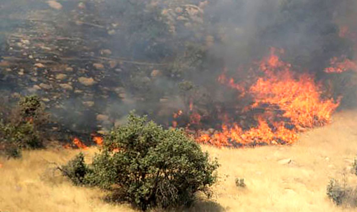 اطفای آتش سوزی منطقه جنگلی امیربکنده رشت