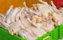 ذخیره سازی مرغ برای شب عید گیلانی‌ها